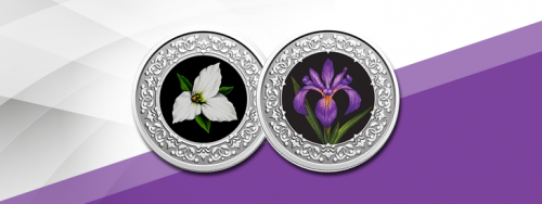 Quebec Blue Flag Iris Is First Coin In The Floral Emblems