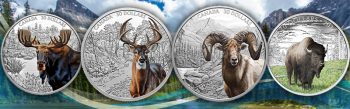 2021 Pure Silver 4 Coin Set Featuring Stunning Canadian Animal Portraits