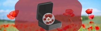 2021 $20 Wreath of Remembrance Silver Canadian Coin