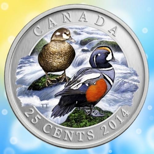 2014 25-CENT DUCKS OF CANADA - HARLEQUIN DUCK COLOURED CUPRONICKEL COIN