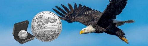 2022 $30 Multifaceted Animal Family Bald Eagles Silver Coin