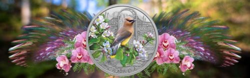 $20 Colourful Birds $20 Coin Featuring the Cedar Waxwing
