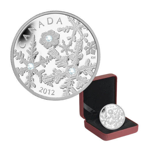 Snowstorm fine silver coin