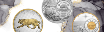 Polar Bear $2 Canadian Coin