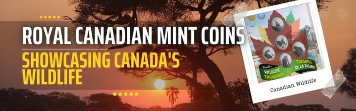 Collecting Royal Canadian Mint Coins Showcasing Canada's Wildlife