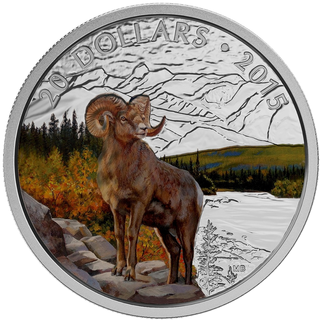2015 full-coloured Bighorn Sheep coin