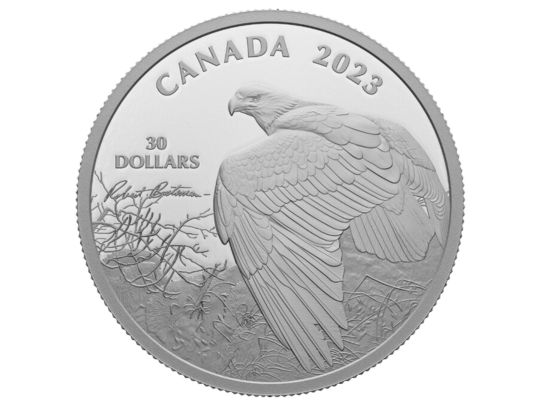 Bald Eagle coin