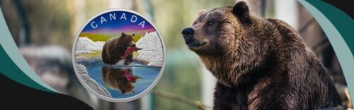 2024 Royal Canadian Mint Wildlife Reflections Grizzly Bear $20 Silver Coin