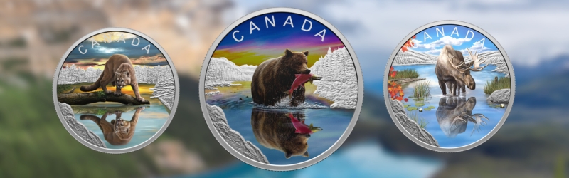 2024 Royal Canadian Mint Wildlife Reflections Grizzly Bear  Silver Coin