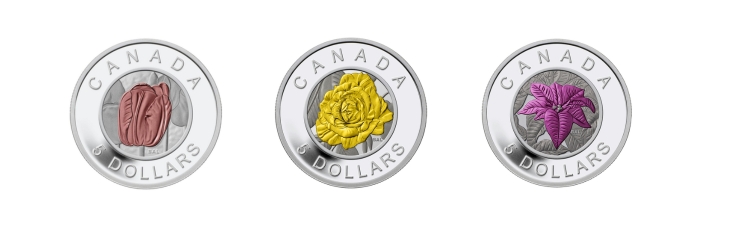 Flowers in Canada Coin Series content image