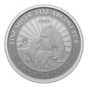 Silver Bullion Coin