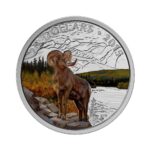 2015  Bighorn Sheep coin