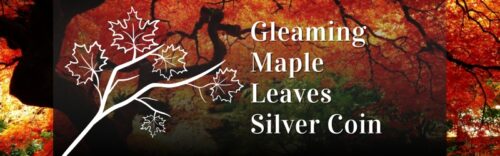 2025 $10 Gleaming Maple Leaves Fine Silver Coin A Shining Canadian Symbol