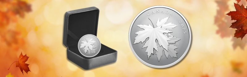 2025  Gleaming Maple Leaves Fine Silver Coin A Shining Canadian Symbol