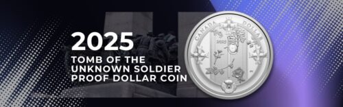 Honouring the Tomb of the Unknown Soldier - 2025 Silver Proof Doll