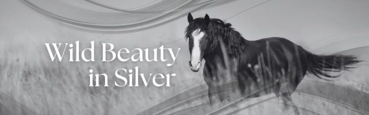 Wild Beauty in Silver - Robert Batemans 2025 Mustang Country Coin Unveiled