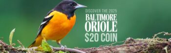 2025 Baltimore Oriole Coin - New from the Colourful Birds Series - Buy & Sell Royal Canadian Mint Coins - Colonial Acres Coins 2025 Baltimore Oriole $20 Coin - New from the Colourful Birds Series