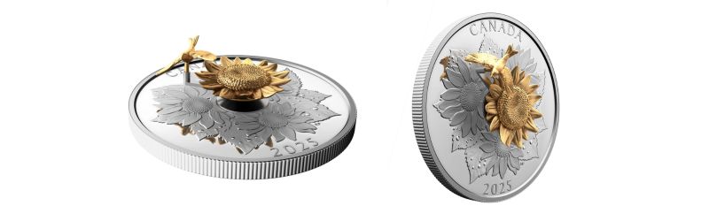 A Design That Comes to Life