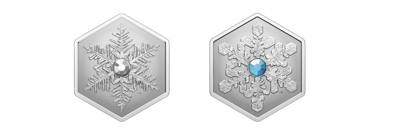 Snowflake Coin 2023 and 2024