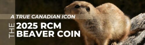 A True Canadian Icon The 2025 RCM Beaver Coin