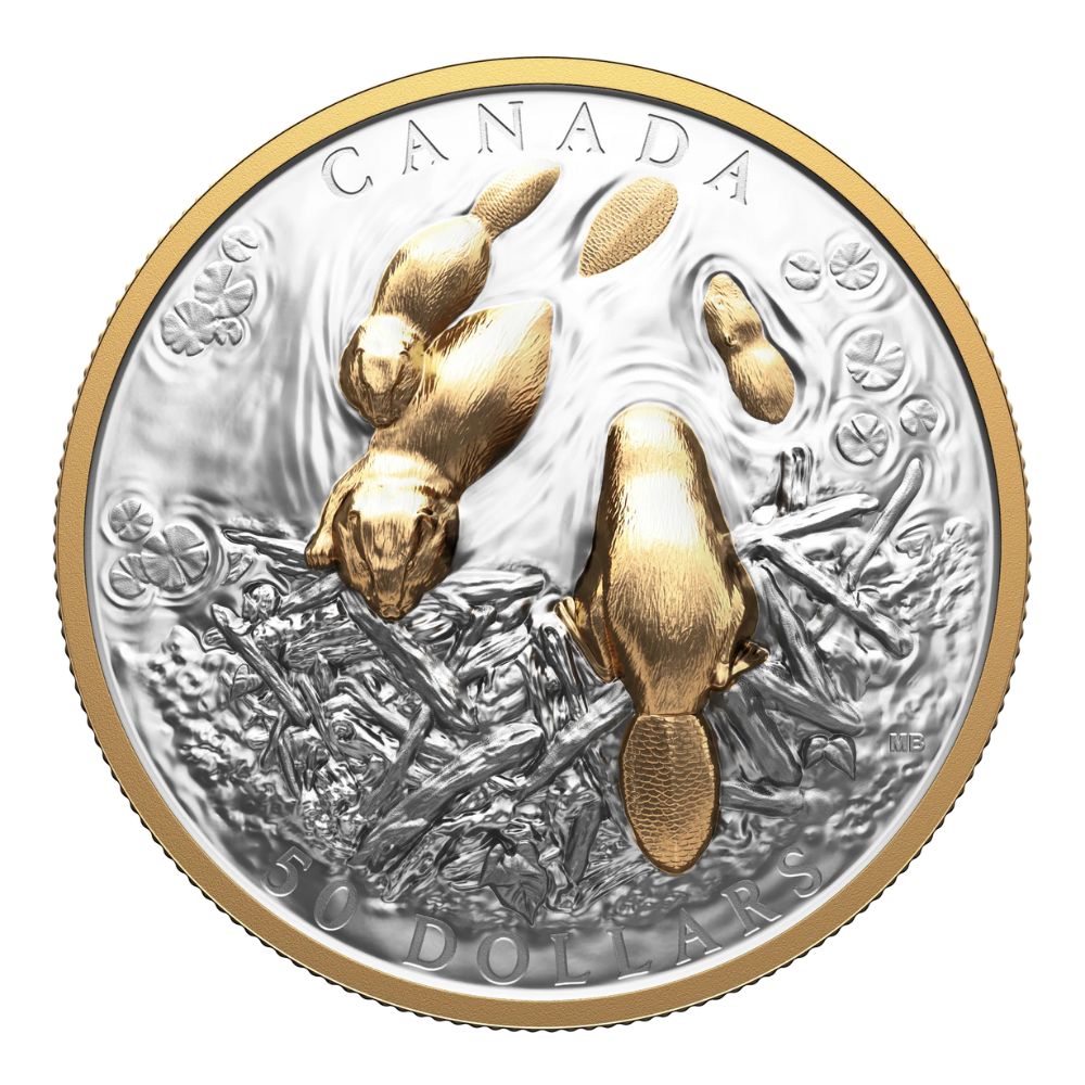 Beaver Coin - Front