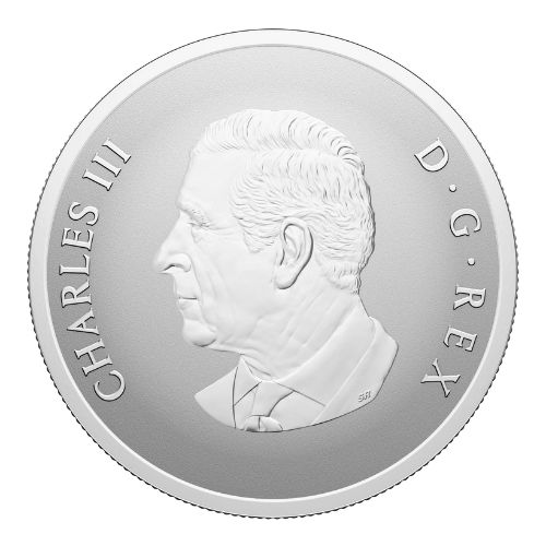 2025 Remembrance Day Fine Silver Coin Back