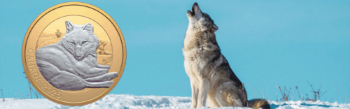 2025 $20 Animal Portraits Grey Wolf Coin Completing the Wild Series