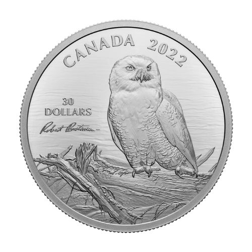 RDC 2022 Canada  Snowy Owl on Driftwood by Robert Bateman Fine Silver