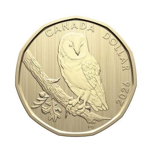 Close-up of the 2026 Barn Owl Specimen Dollar showing the owl perched on an oak branch.