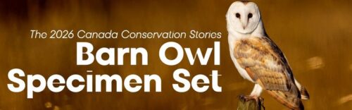 Complete 2026 Canada Conservation Stories Barn Owl Specimen Set in book-style packaging.