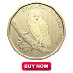 2026 Barn Owl Specimen Dollar coin next to a blue "Buy Now" button.