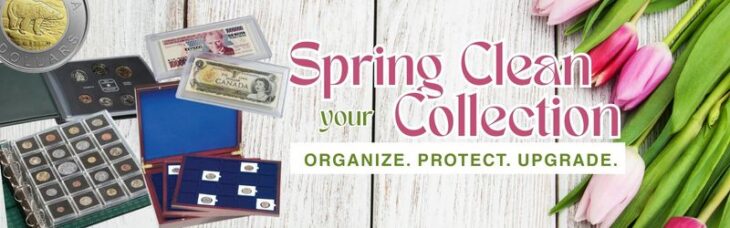 A "Spring Clean your Collection" graphic featuring a gold Polar Bear coin, multiple albums of coins and banknotes, and a wooden presentation case, next to a bouquet of pink and purple tulips.