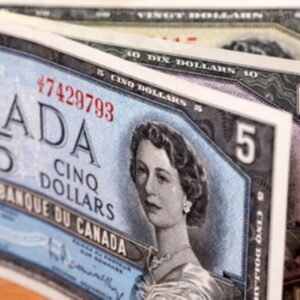 A close-up, angled view of several vintage Canadian 5-dollar banknotes, prominently featuring the portrait of Queen Elizabeth II on a light blue and grey bill.
